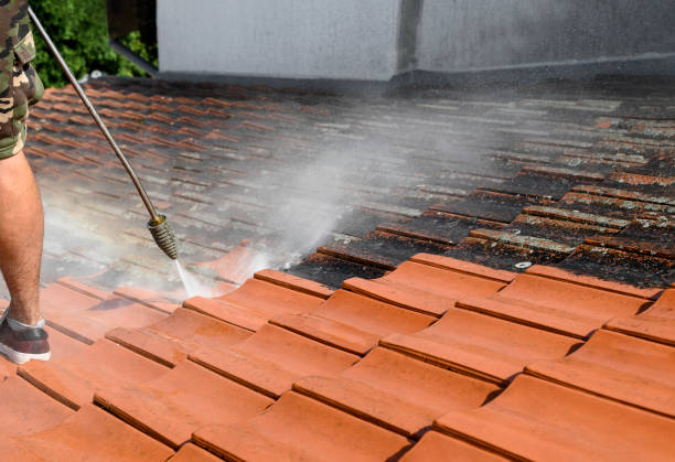 Best Exterior Home Cleaning  in Paterson, NJ