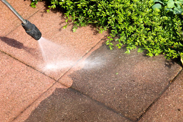 Best Local Pressure Washing Services  in Paterson, NJ